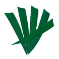 thumbnail image 3 of S SERENABLE 12 Pcs 4 Pouces Plumes Fletchings Pales Vert, 3 of 9