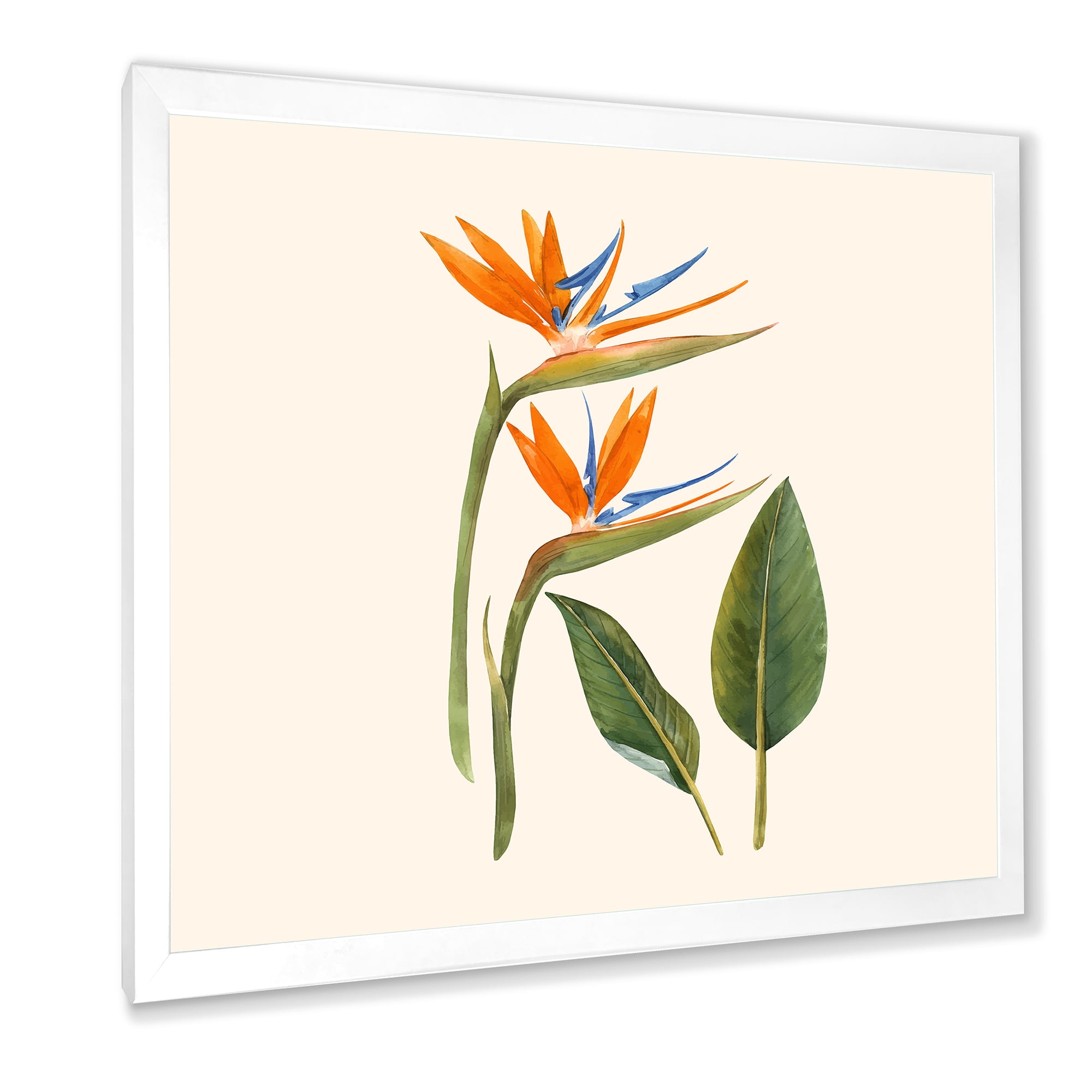 Designart 'Ancient Strelitzia Flowers' Traditional Framed Art Print