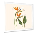 thumbnail image 2 of Designart 'Ancient Strelitzia Flowers' Traditional Framed Art Print, 2 of 4