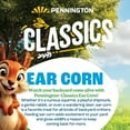 thumbnail image 6 of Pennington Classic Whole Ear Corn, Squirrel and Critter Feed, 6.5 lb. Bag, Dry, 1 Pack, 6 of 11