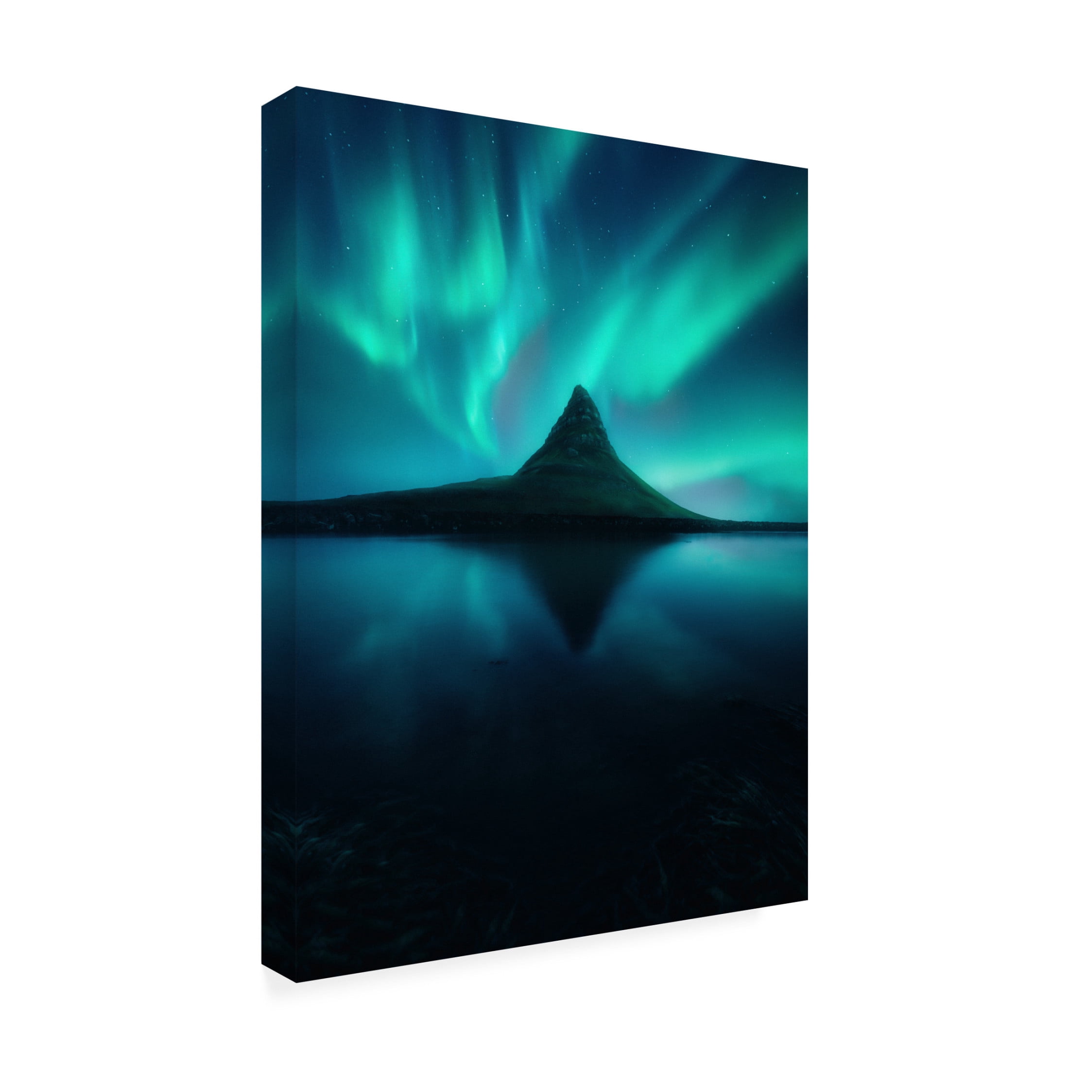 Trademark Fine Art David George Dreamtime Canvas Wall Art