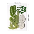 thumbnail image 2 of Toystoory Hoja seca natural DIY Arte hecho a mano Planta en relieve Hojas prensadas Decoración Hogar Decorativo para tarjetas de boda de Type1 NO1, 2 of 6