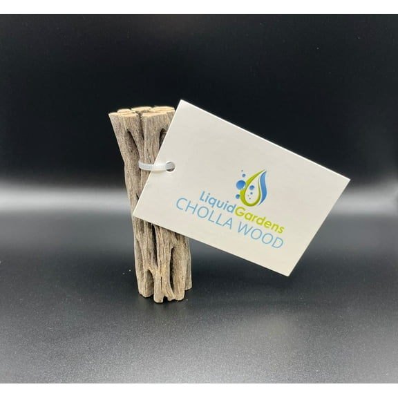 Liquid Gardens 3" cholla wood
