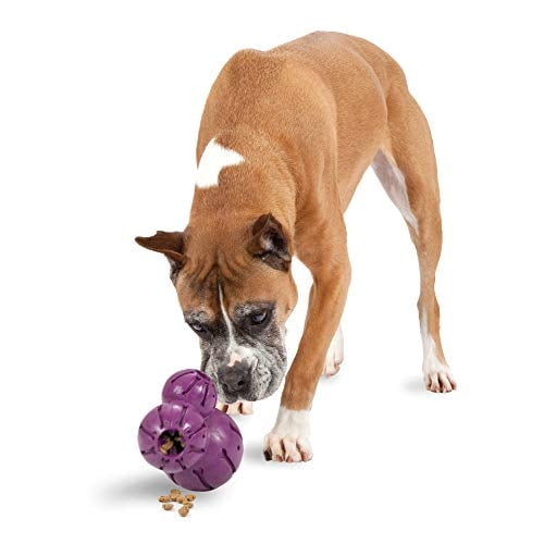 Dispensador de golosinas PetSafe Busy Buddy juguete masticable para perros
