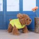 thumbnail image 3 of Wdftyju Perro mascota invierno cálido ropa acolchada chaqueta abrigo chaleco grueso (amarillo) (XL)-178429.14 Wdftyju 5wz1ct8cv2dd1xz6D07, 3 of 6