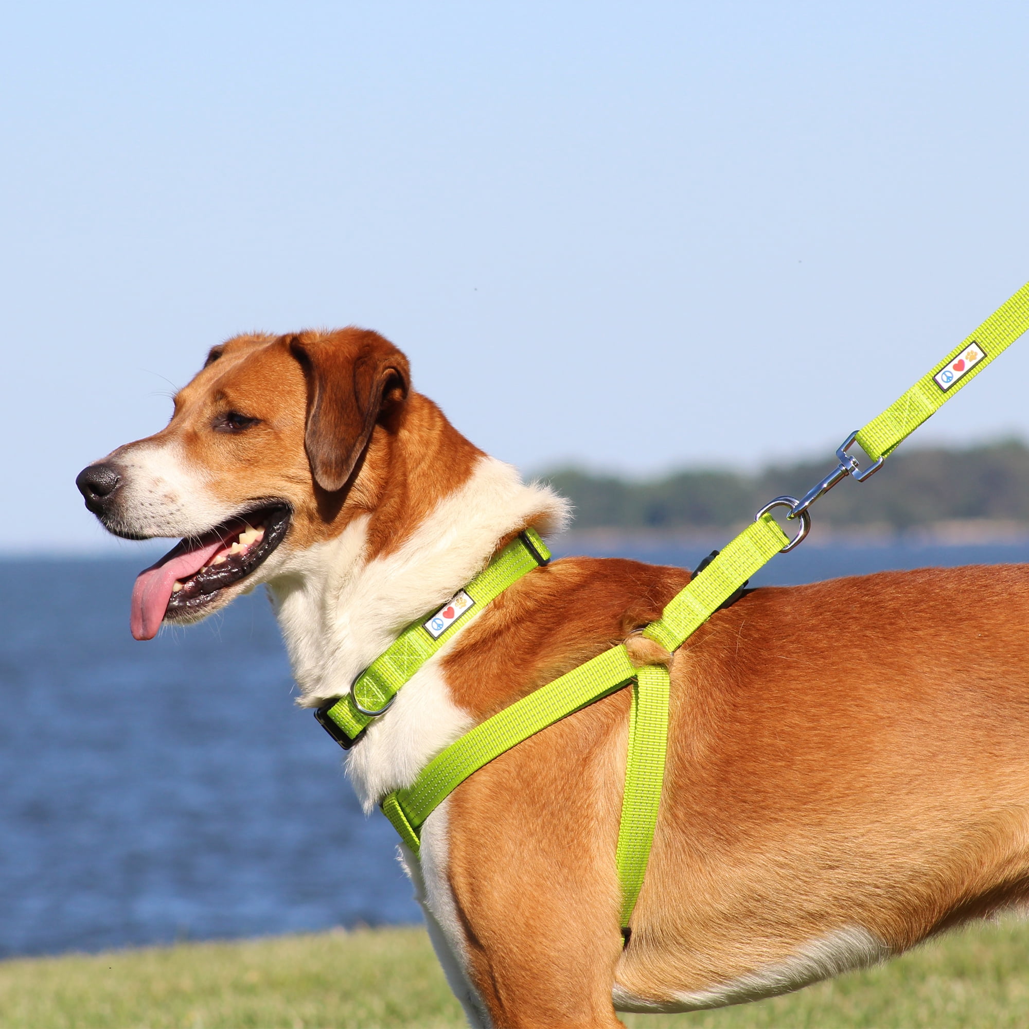 Pawtitas Reflective Dog Harness - Orchid - (S) Small Step in Dog Harness Training & Walking
