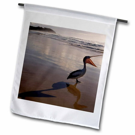 3dRose Australian pelican bird, Stradbroke Island, Australia-AU01 POX0164 - Pete Oxford - Garden Flag, 12 by (Best Australian Bird App)