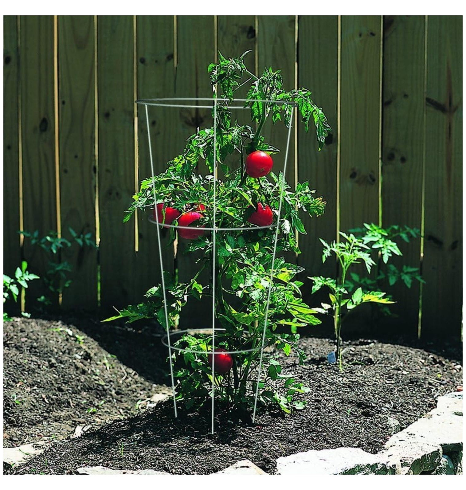 Products 89723 Tomato and Plant Support Cage,Galvanized, Pack of 10 Multicolor
