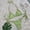 S-Light Green, variant on Rhuody Women Summer Swimsuit Bikini Strappy Swimsuit Beach Swimwear Straps Ruched Fashion Wear S Black