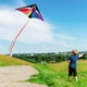 thumbnail image 2 of Kites For Kids Kites For The Beach Huge Kite For Kids Colorful Kite Beach Kite With Long Tail Kites For Kids Adults, 2 of 4