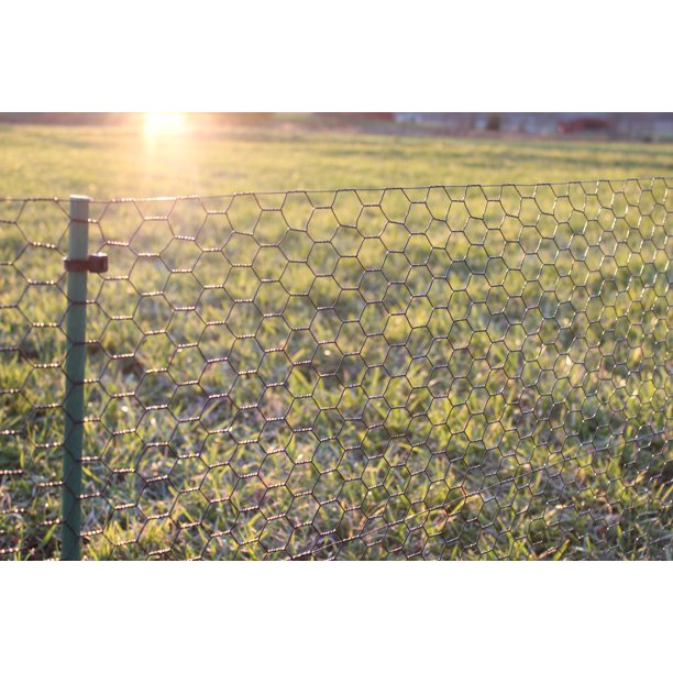 4' X 150' Steel Hex  Black Pvc Coated Dog Fence