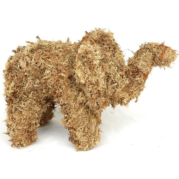Elephant Sphagnum Topiary Form - Baby