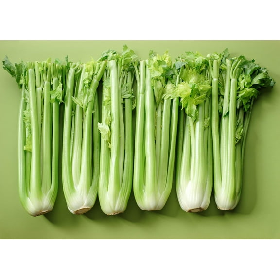 1000 Seeds TALL UTAH CELERY Apium Graveolens Dulce Vegetable Seeds