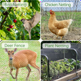 thumbnail image 3 of Bird Netting, YITUMU 50x50 FT Garden Netting with 2 in Square Mesh, Protect Plants/Fruit Tree/Vegetables from Poultry&Birds&Deer&Other Animals, Deer Fence Bird Netting for Yard, Garden, Farm, Orchard, 3 of 10