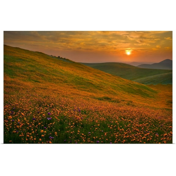 Great BIG Canvas | "Spring Riot II" Art Print - 36x24