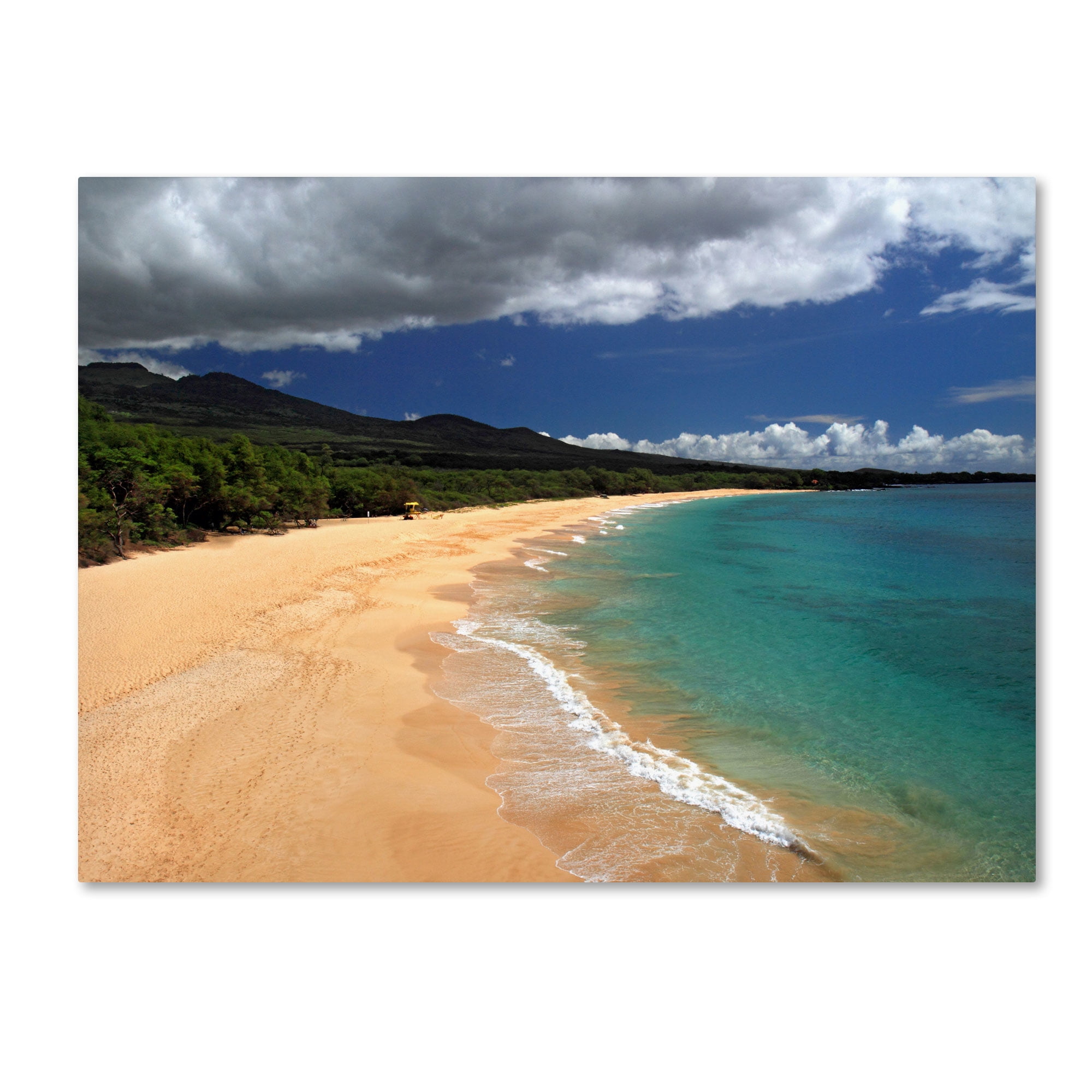 Trademark Fine Art "Makena Maui" Canvas Art by Pierre Leclerc