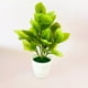 thumbnail image 4 of Gwong Decoración hogareña Planta en maceta Lifelike Artificial Bonsai Decoración de escritorio Fake Green Plant para la exhibición del hogar Gwong 21056910, 4 of 6