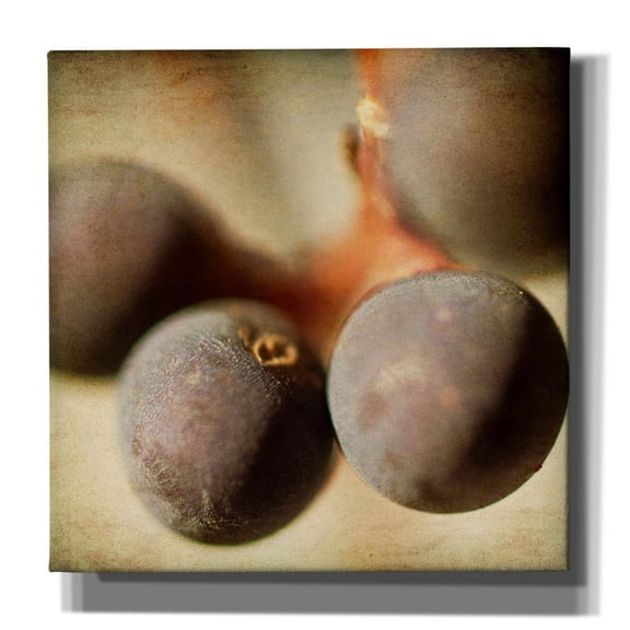 Epic Graffiti 'Berries 5' by Jessica Rogers, Canvas Wall Art, 26"x26"