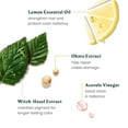thumbnail image 5 of Rene Furterer Color Glow Thermal Protecting Glow Cream - Leave in for Color-Treated Hair - Amino Acids & Lemon Essential Oil, 3.3 fl oz, 5 of 9