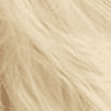 Blonde