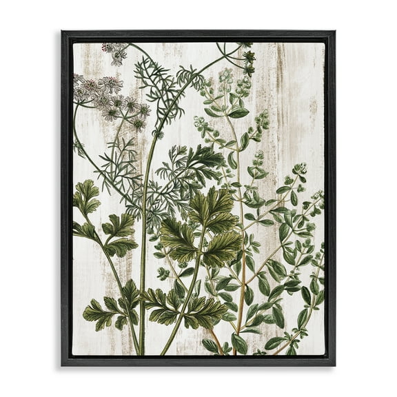 Stupell Industries Botanical Greenery Pattern Botanical & Floral Painting Black Floater Framed Art Print Wall Art, 17 x 21