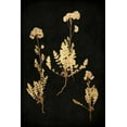 thumbnail image 2 of Bennett, Kate 11x14 White Modern Wood Framed Museum Art Print Titled - Golden Nature V, 2 of 4