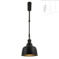 thumbnail image 1 of FSLiving Adjustable Height Track Pendnat Light J-Type Industrial Retractable Track Spotlight with Telescoping Rod Gimbaled Lamp-Post Juno Track Instant On Black Dome Lamp, 1 Light, 1 of 7