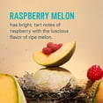 thumbnail image 2 of Liquid I.V.® Hydration Multiplier Sugar-Free - Raspberry Melon | Electrolyte Powder Drink Mix | 1 Pack (14 Servings), 2 of 5