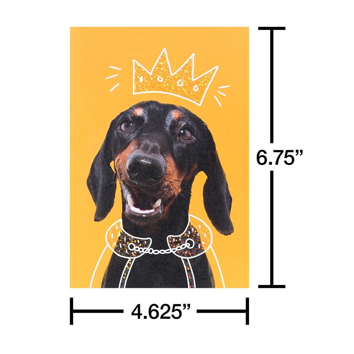 American Greetings - Assortiment en boîte de 15 cartes sans texte et enveloppes, chiens amusants