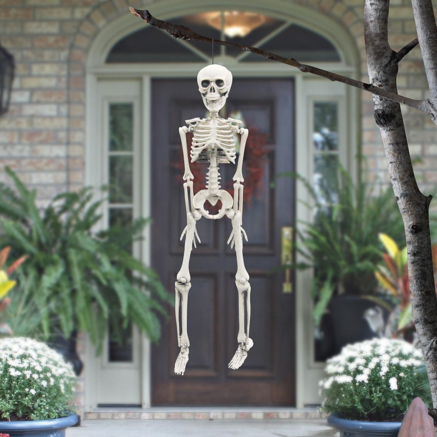 WAY TO CELEBRATE SQUELETTE - COULEUR OS