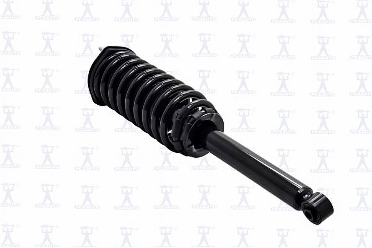 Suspension Strut and Coil Spring Assembly