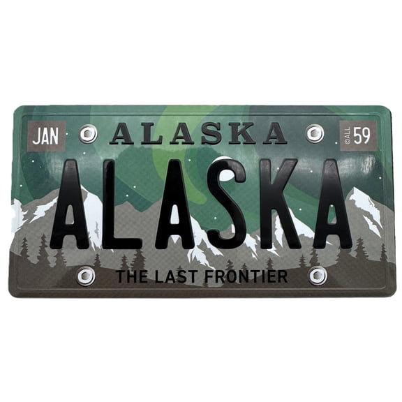 Alaskagift Aurora License Plate Magnet Lg