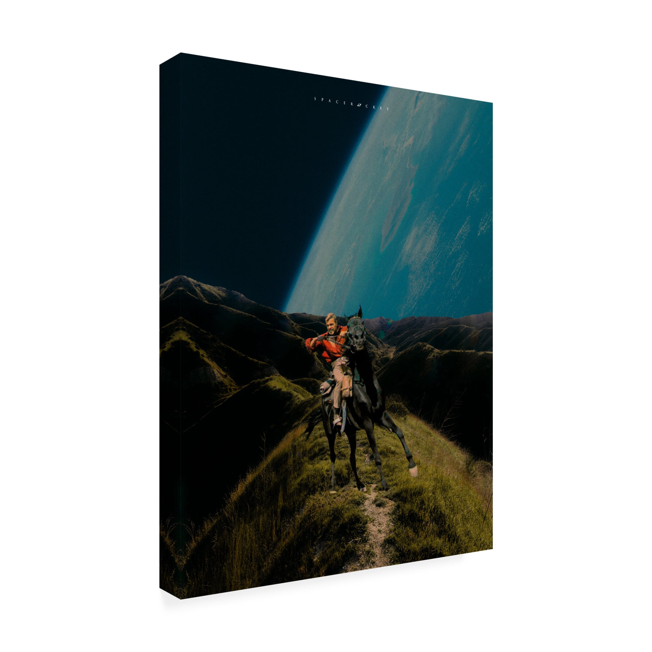 Trademark Fine Art spacerocket art 313 Canvas Wall Art