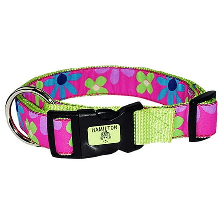 Premium Patterned Dog Collars - Hamilton 1