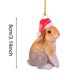 thumbnail image 3 of 1 pieza de bonito colgante de decoración navideña de alce, pájaro, conejo, ardilla y erizo, acrílico 2D, interesante adorno colgante para árbol de Navidad, 3 of 5