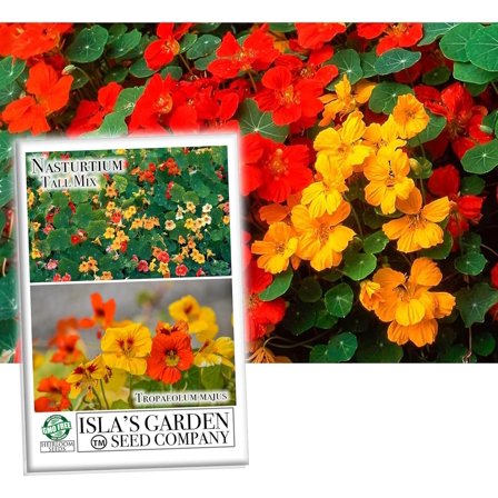 Nasturtium Tall (Single Blend) Flower Seeds, 50 Heirloom Seeds Per Packet, (Isla's Garden Seeds), Non GMO Seeds, Scientific Name: Tropaeolum