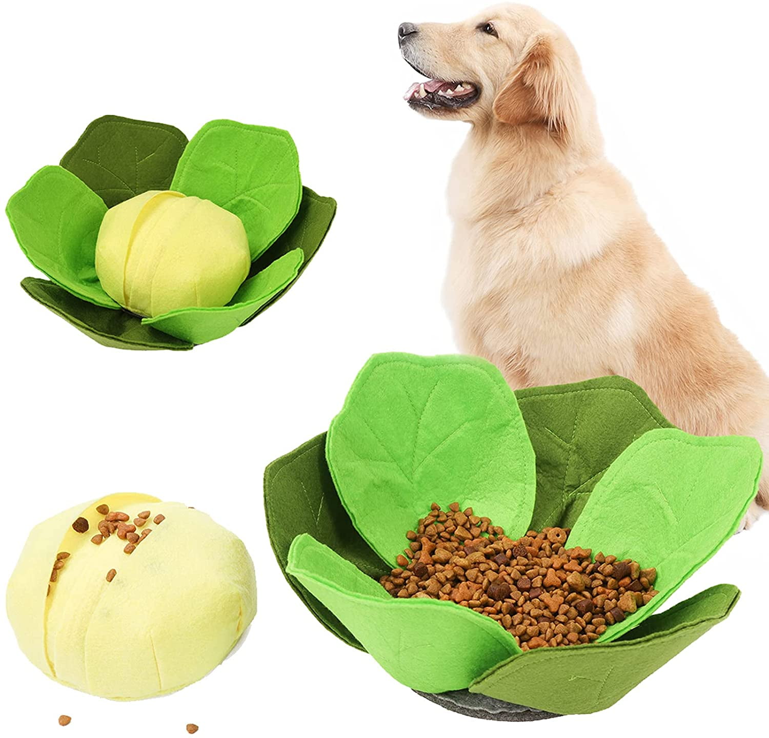 Can I Give My Dog Cabbage