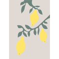 thumbnail image 2 of 1x Studio II 14x18 Black Ornate Wood Framed with Double Matting Museum Art Print Titled - Lemons, 2 of 4