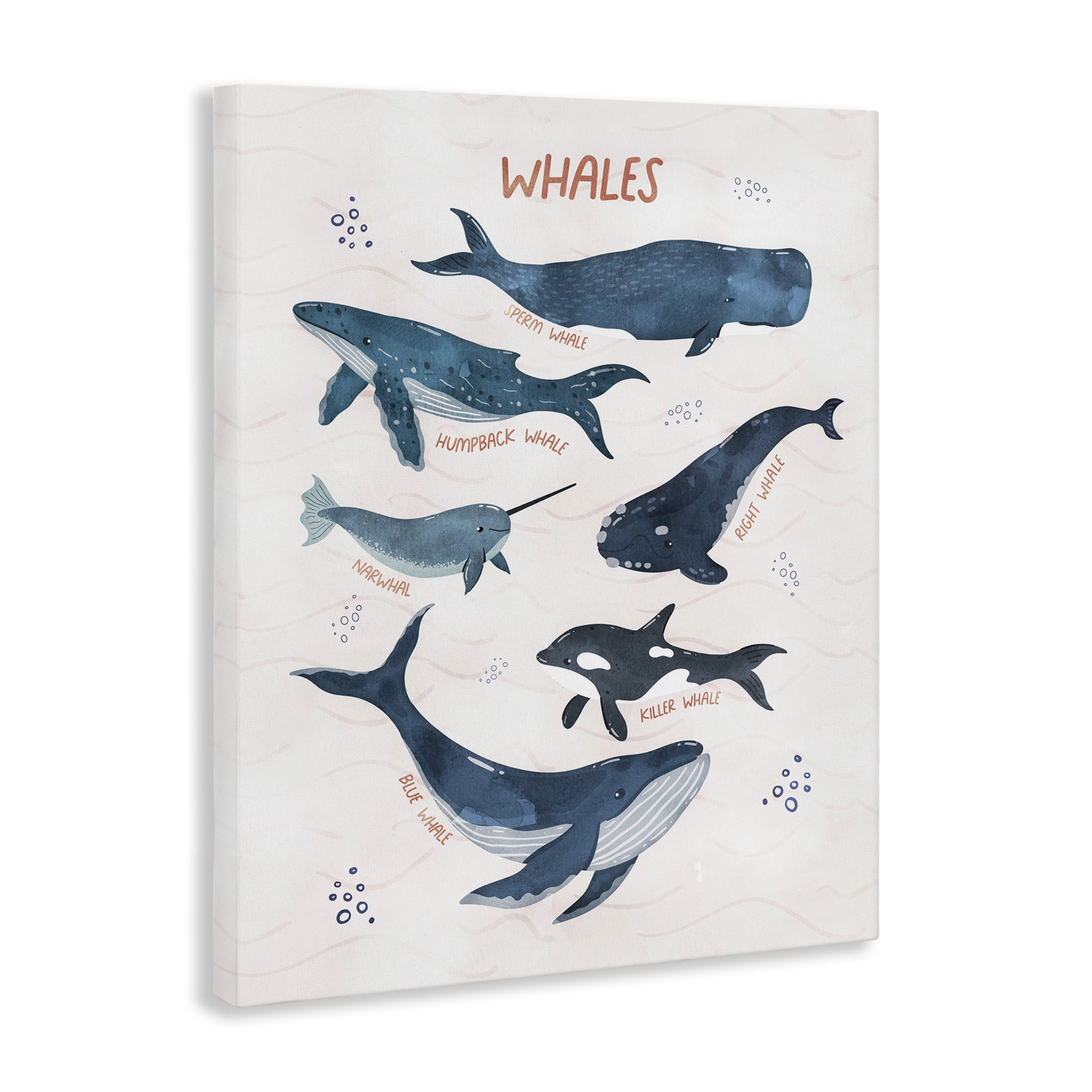 Stupell Industries Whales of the World Animals & Insects Painting Gallery Wrapped Canvas Art Print Wall Art, 16 x 20