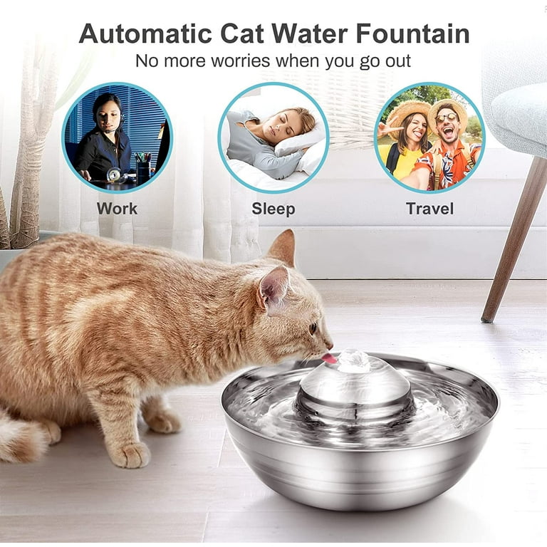 Auto cat top water bowl