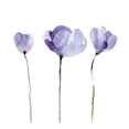 thumbnail image 2 of Braun Studio 26x26 White Modern Wood Framed Museum Art Print Titled - Aquarelle 4, 2 of 4