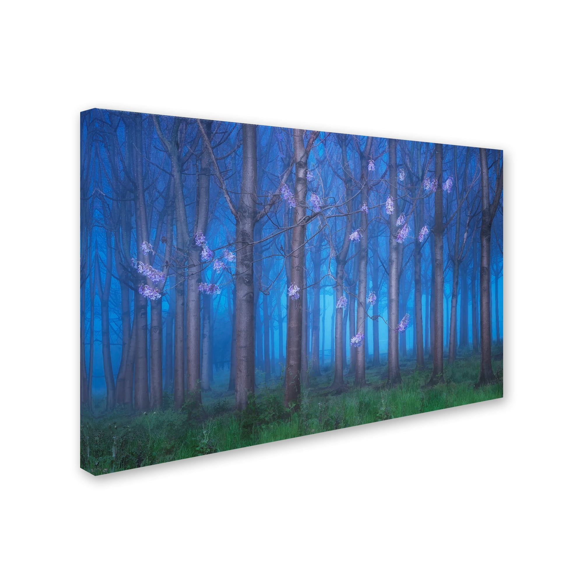 Jingshu Zhu 'Fairyland' Canvas Art