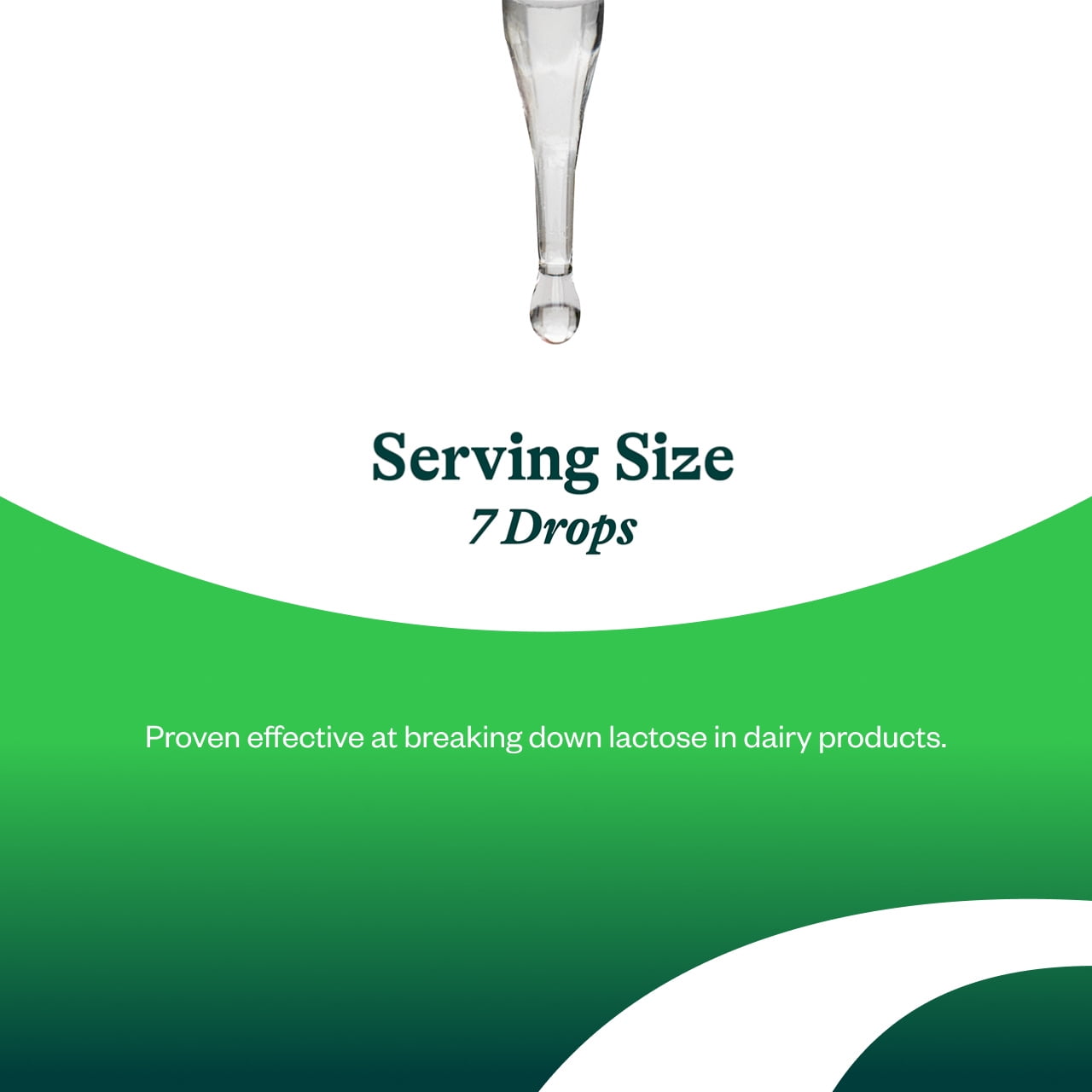 Seeking Health Lactase Drops - Liquid Supplement with Lactase Enzyme for Dairy Intolerance Support - Intolerance Support for Digestion - Lactase Enzyme Supplement - 0.50 fl oz, 52 Servings