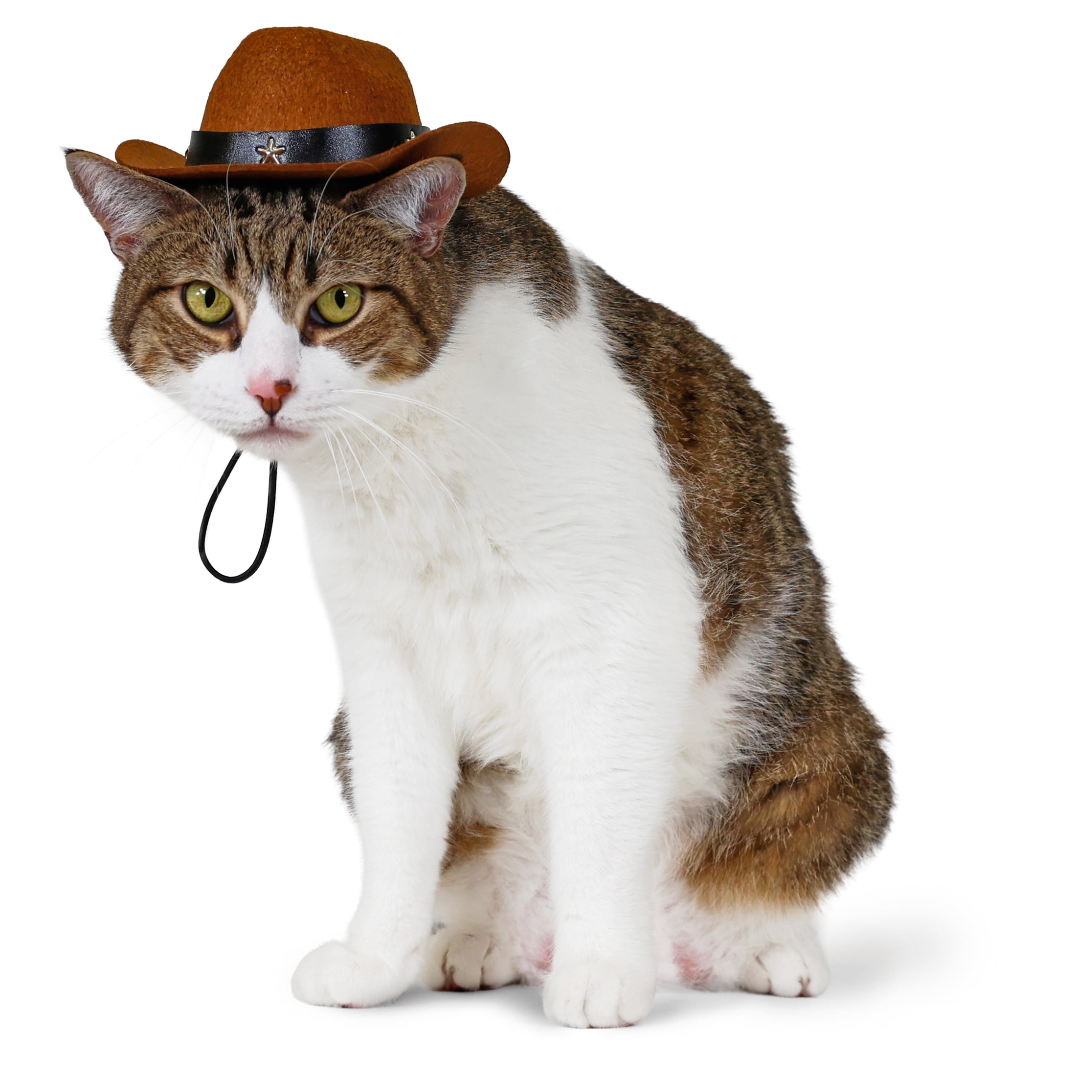 Vibrant Life Halloween Cowboy Hat Costume for Dogs & Cats, Brown, Extra Small/Small