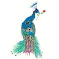 thumbnail image 3 of Kwerki Studios 15x18 Black Modern Framed Museum Art Print Titled - Pippy Peacock, 3 of 5