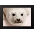 thumbnail image 2 of Mansfield, Kathy 18x13 Black Modern Framed Museum Art Print Titled - Arctic Seal Pup, 2 of 5