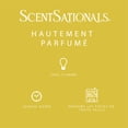 thumbnail image 5 of Cubes de cire parfumée ScentSationals - Frozen Lemonade, 5 of 5