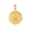 Yellow, variant on Gold United States Navy Officially Licensed Shield Eagle Anchor Emblem Medallion (10K White Gold, Pendant)