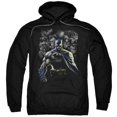 thumbnail image 1 of Batman & les Méchants Ont Lâché le Pull-Over à Capuche Adulte&44; Noir - 3X, 1 of 1