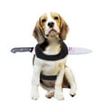 thumbnail image 4 of Funny Bloodstains Costume for Dogs Pet Halloween Holiday Accessories Photo Props Suitable Cats and Dogs, 4 of 8